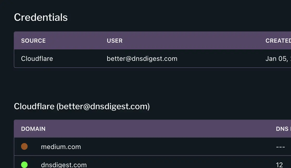 Another screenshot of the DnsDigest admin interface.