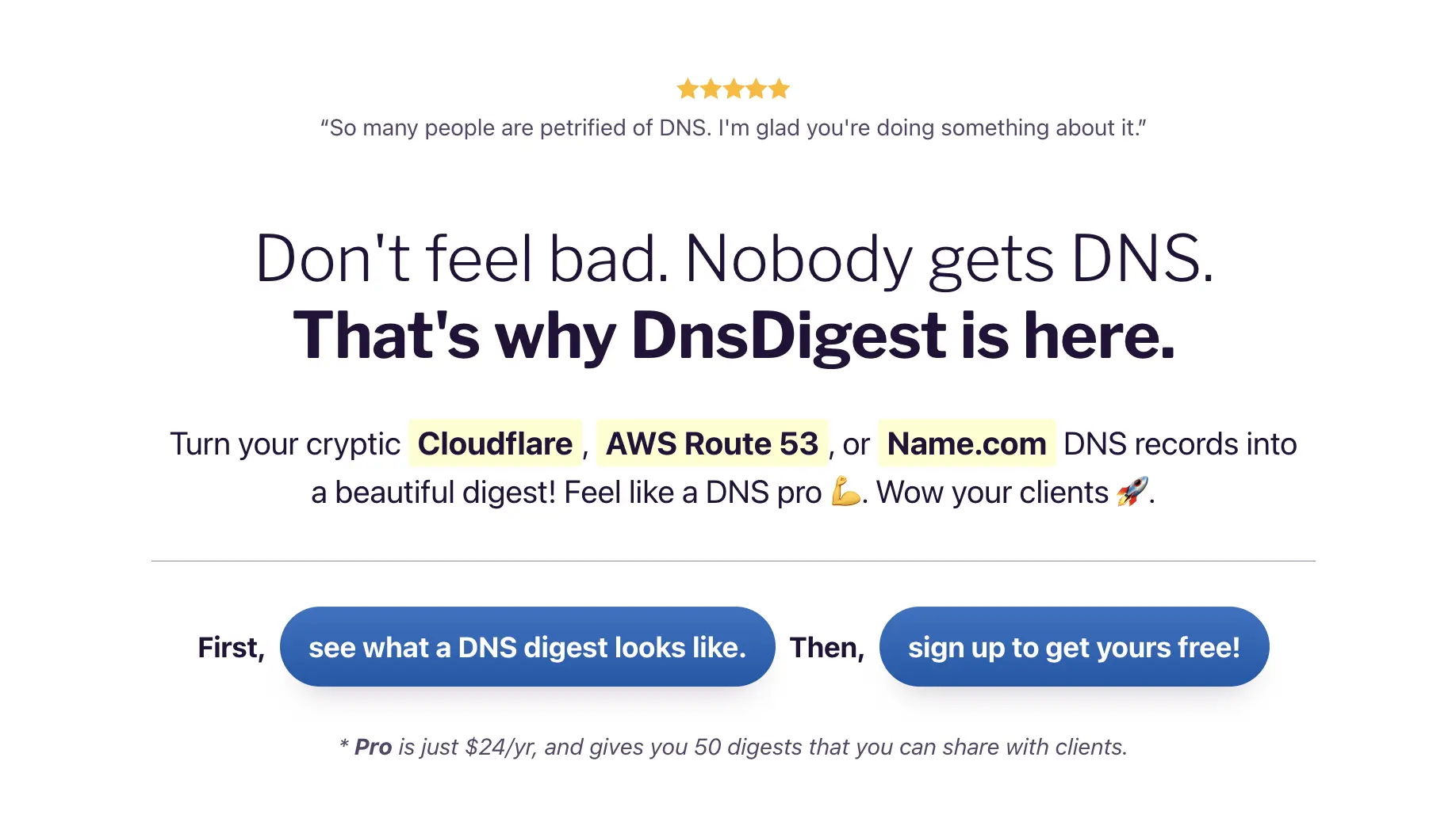 A screenshot of the DnsDigest hero area.